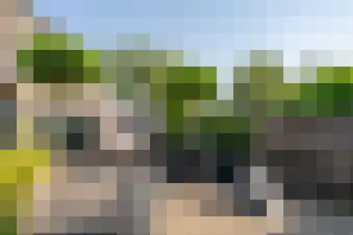 Zuiderzee 39 Huizen thumbnail 4