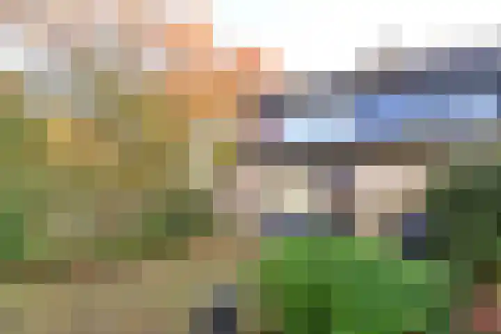 Zuiderzee 61 Huizen thumbnail 12