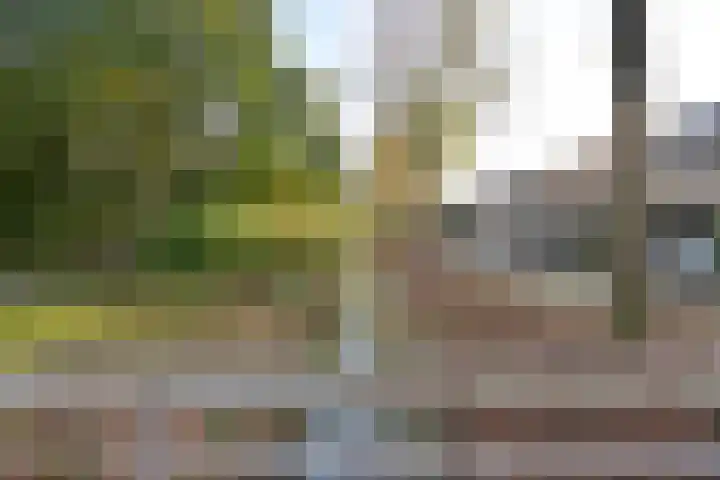 Zuiderzee 61 Huizen thumbnail 16