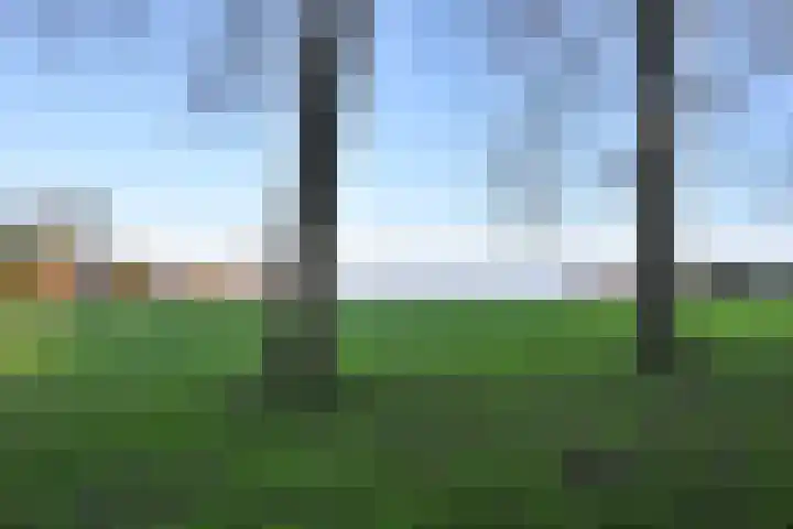 Zuiderzee 61 Huizen thumbnail 17