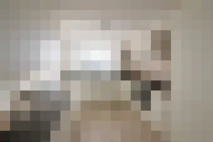 Zuiderzee 61 Huizen thumbnail 6