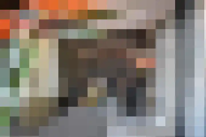 Zuiderzeedreef 41 Blaricum thumbnail 10