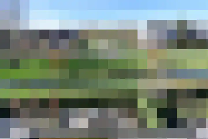 Zuiderzeedreef 41 Blaricum thumbnail 22