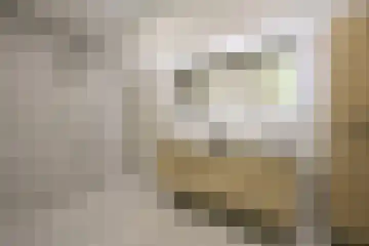 Zuiderzeedreef 41 Blaricum thumbnail 25