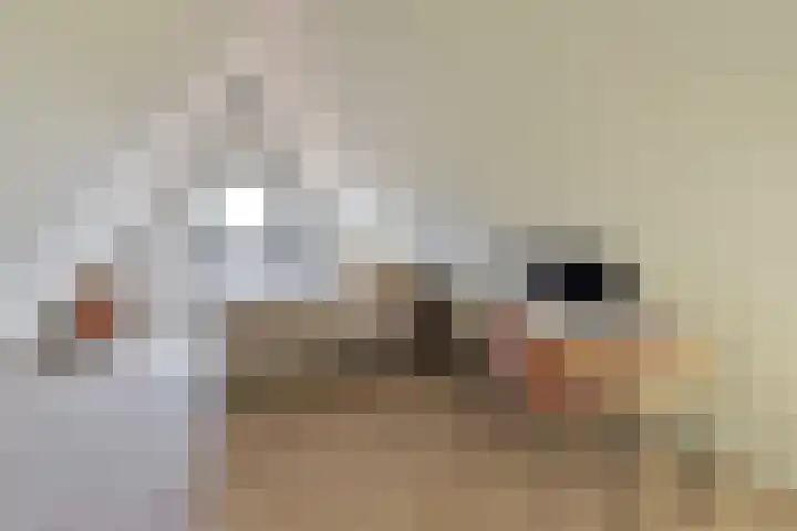 Zuiderzeedreef 41 Blaricum thumbnail 26