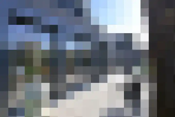 Zuiderzeedreef 41 Blaricum thumbnail 27