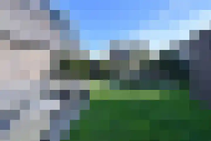 Zuiderzeedreef 41 Blaricum thumbnail 31