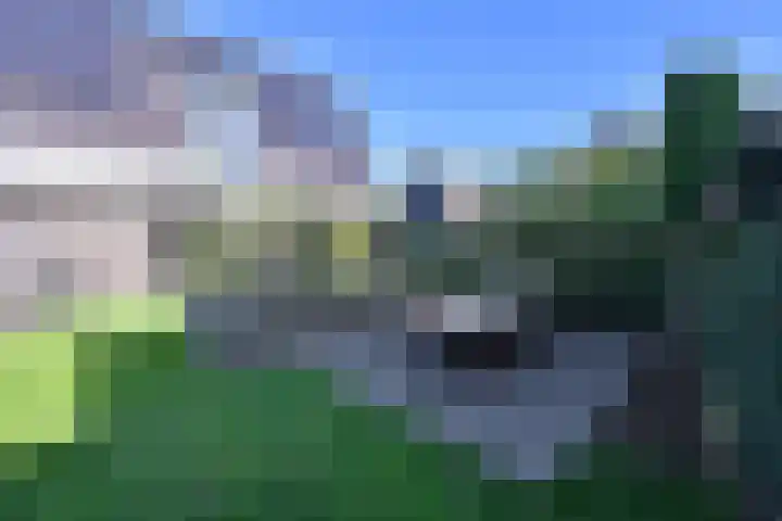Zuiderzeedreef 41 Blaricum thumbnail 32