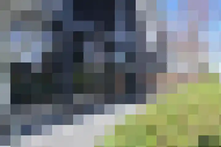 Zuiderzeedreef 41 Blaricum thumbnail 35