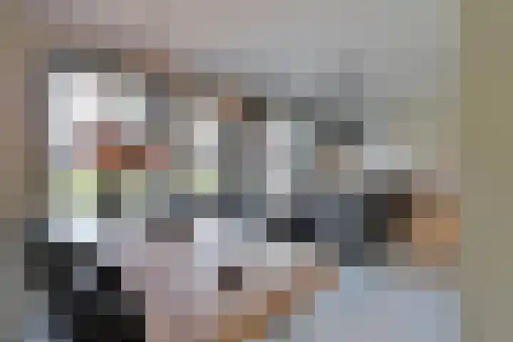 Zuiderzeedreef 41 Blaricum thumbnail 6