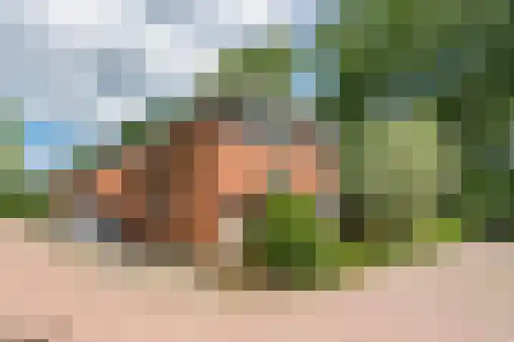 Zuiderzeepark 65 Amsterdam thumbnail 45