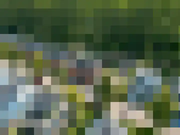 Zuiderzeepark 65 Amsterdam thumbnail 49