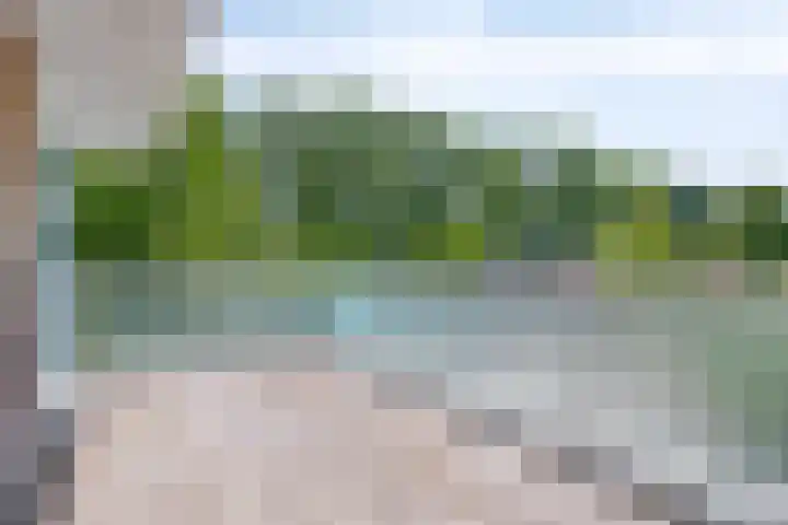 Zuiderzeepark 82 Amsterdam thumbnail 26
