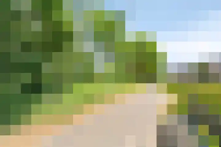 Zuiderzeepark 82 Amsterdam thumbnail 32