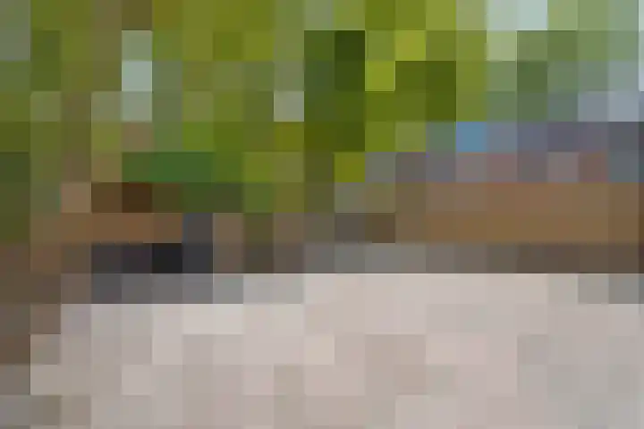 Zuiderzeepark 82 Amsterdam thumbnail 5