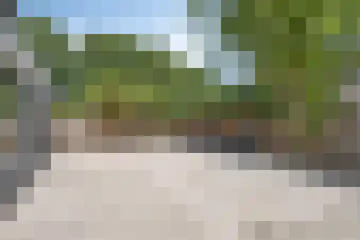 Zuiderzeepark 82 Amsterdam thumbnail 6