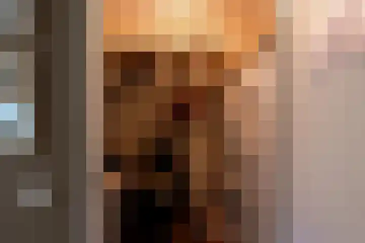 Zuides 42 Rolde thumbnail 13