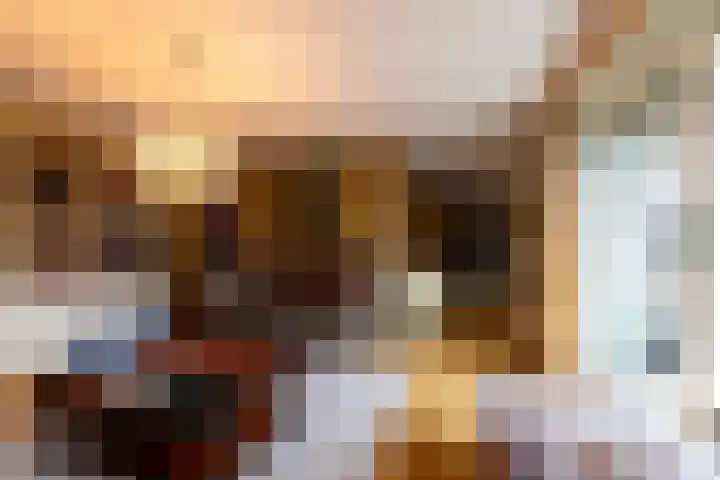 Zuides 42 Rolde thumbnail 18