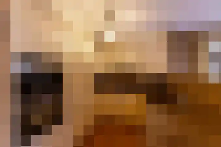 Zuides 42 Rolde thumbnail 22