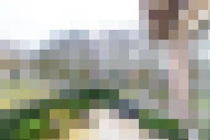 Zuides 42 Rolde thumbnail 26