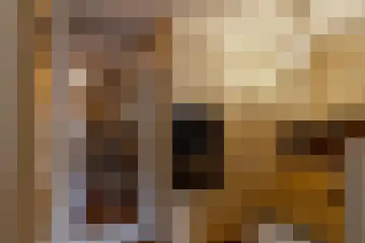 Zuides 42 Rolde thumbnail 28
