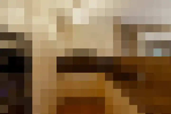 Zuides 42 Rolde thumbnail 29