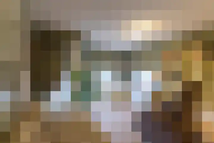 Zuides 42 Rolde thumbnail 33