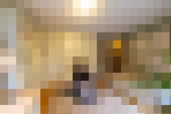 Zuides 42 Rolde thumbnail 34