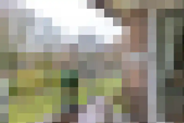 Zuides 42 Rolde thumbnail 37