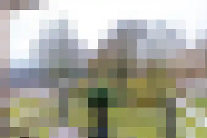 Zuides 42 Rolde thumbnail 39