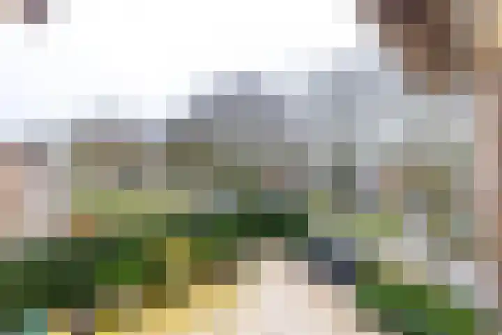 Zuides 42 Rolde thumbnail 40