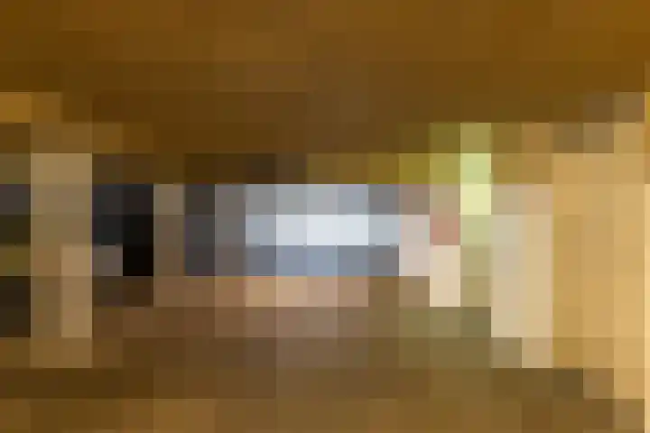 Zuides 42 Rolde thumbnail 41