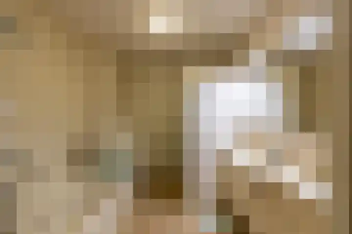 Zuides 42 Rolde thumbnail 5