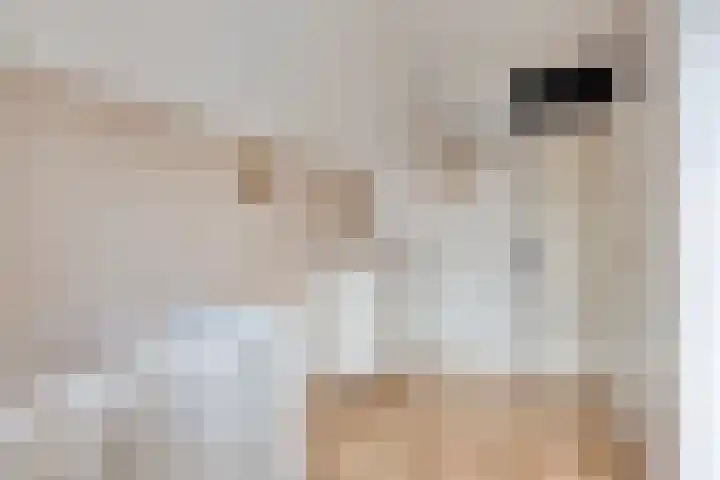 Zuidgouw 39 Ursem thumbnail 36