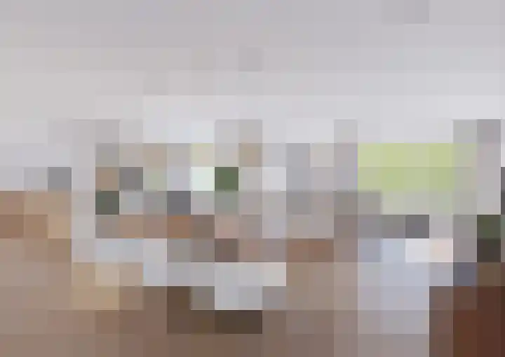Zuidhaege 11 Assen thumbnail 4