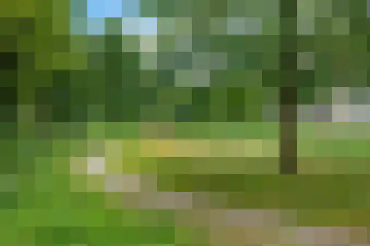 Zuidhaege 11 Assen thumbnail 42
