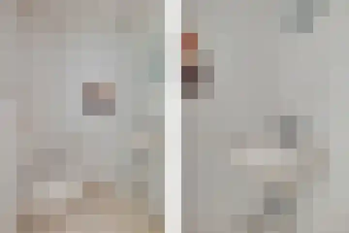 Zuidhaege 11 Assen thumbnail 9