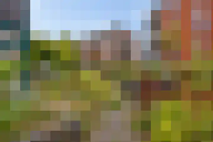 Zuidhaege 163 Assen thumbnail 4