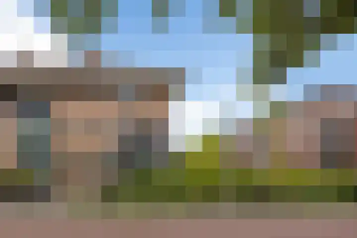 Zuidhaege 163 Assen thumbnail 7