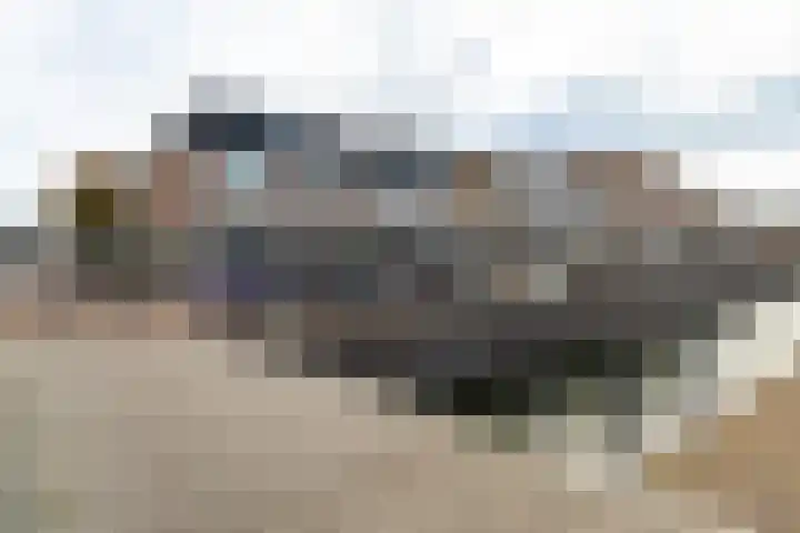 Zuidhaven 111 Zevenbergen thumbnail 4