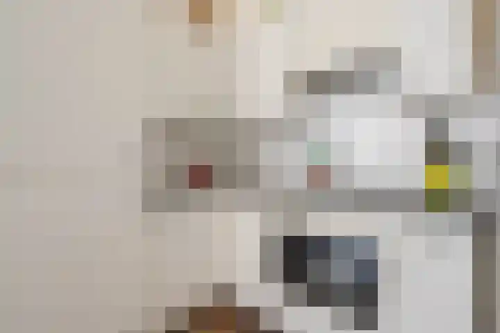 Zuidhoek 112 Rotterdam thumbnail 13