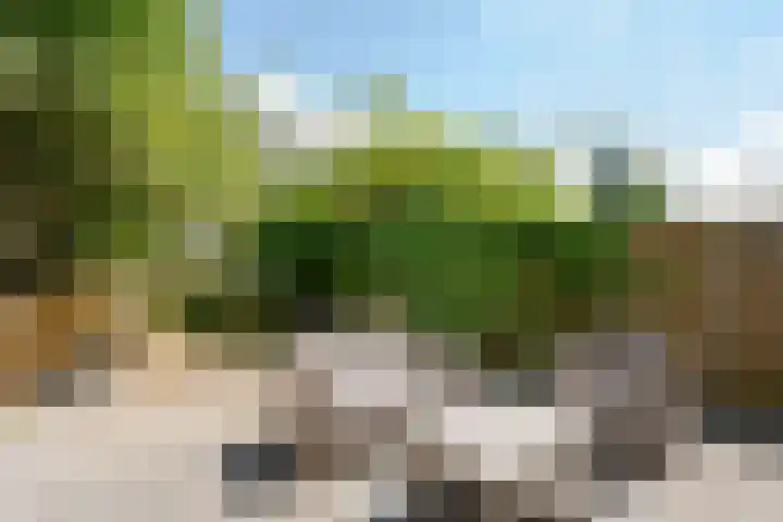 Zuidhoek 112 Rotterdam thumbnail 23
