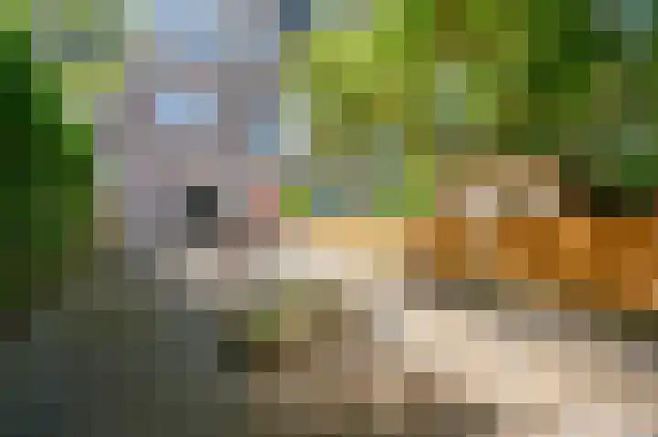 Zuidhoek 112 Rotterdam thumbnail 24