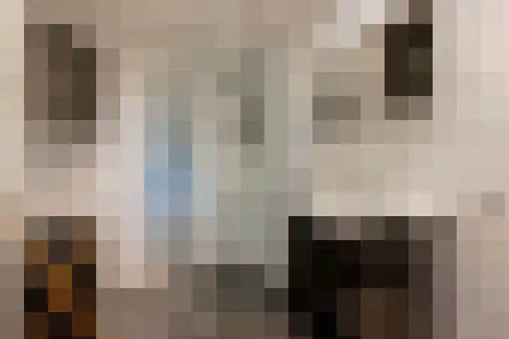 Zuidhoek 112 Rotterdam thumbnail 4