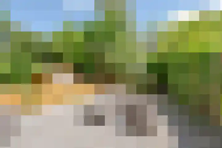 Zuidhoek 112 Rotterdam thumbnail 5