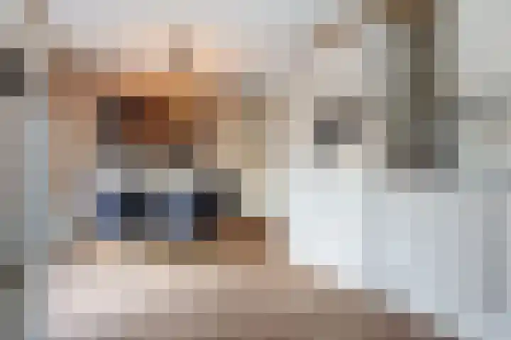 Zuidhoffstraat 4 Veendam thumbnail 13