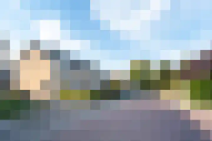 Zuidhoffstraat 4 Veendam foto 3