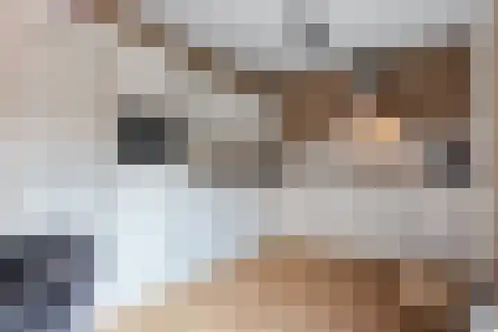 Zuidhoffstraat 4 Veendam foto 3