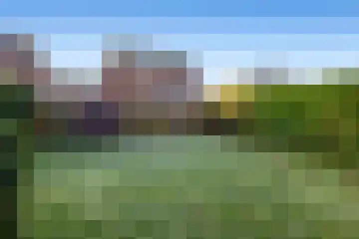 Zuidhoffstraat 4 Veendam thumbnail 31