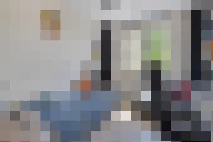 Zuidkade 51 A Boskoop thumbnail 15